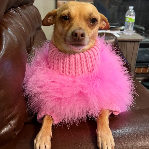 Meet your Posher, Jill - Picture 9 of 12